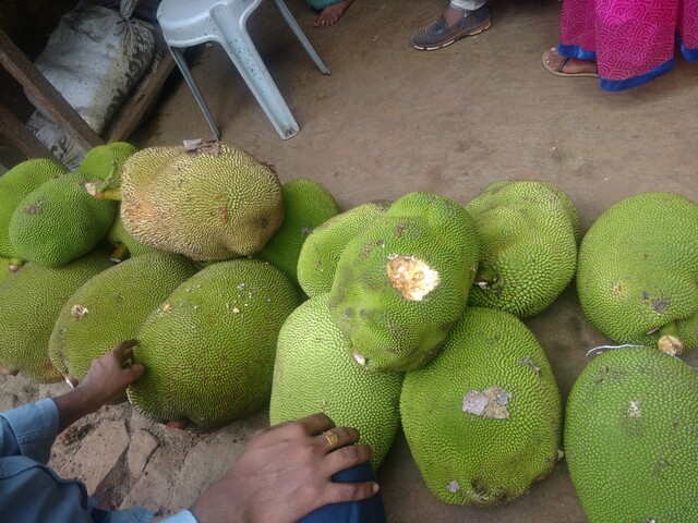 Several large jackfruits that I saw in a shop. They are quite big.